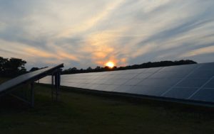 solar panel generate electricity